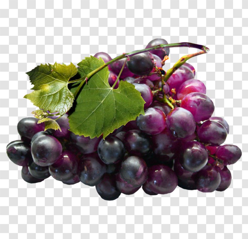 Common Grape Vine Seed Extract Zante Currant - Vitis Transparent PNG
