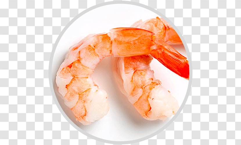 La Scala Beverly Hills Food Caridea Shrimp Transparent PNG