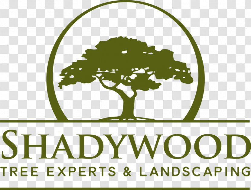Shadywood Tree Experts Layton Builders, Inc. Industry Dogwood Meadows Transparent PNG