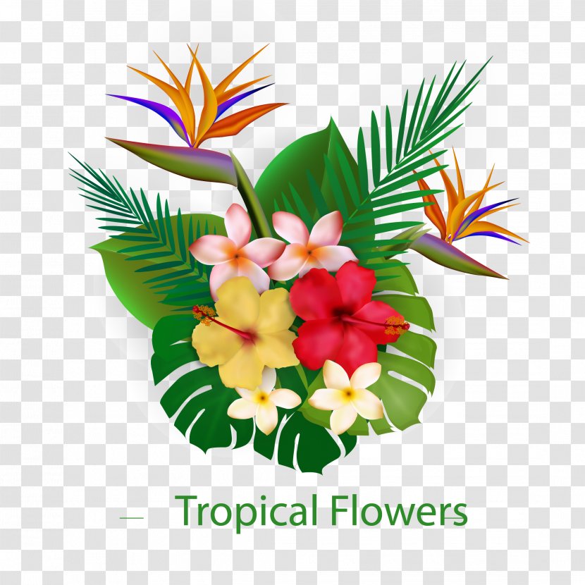 Flower Tropics Euclidean Vector - Floristry - Egg Free Pull Download Transparent PNG