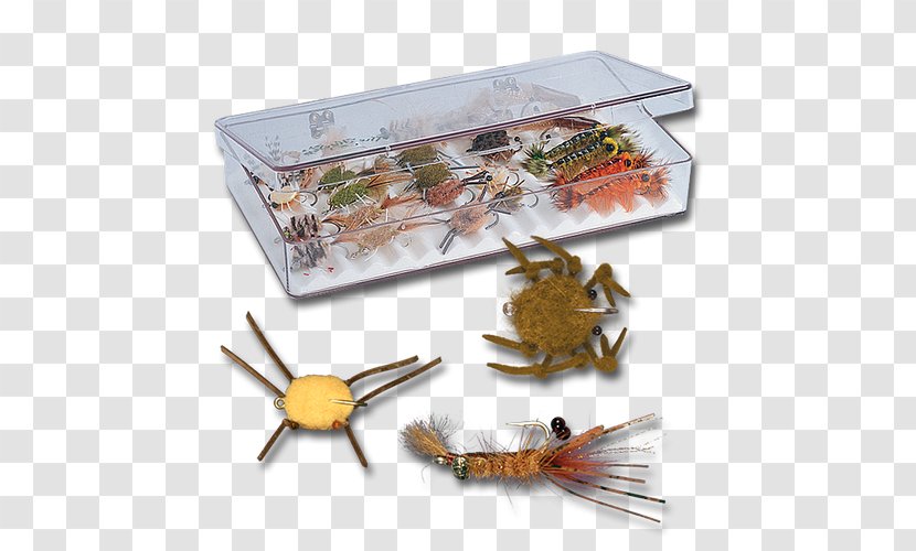 Fish Products Invertebrate - Animal Source Foods Transparent PNG