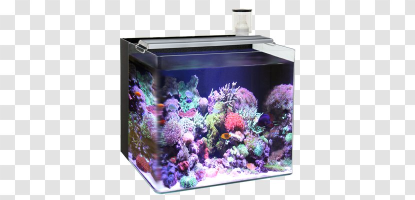 Reef Aquarium Nano Light Liter - Substrate Transparent PNG