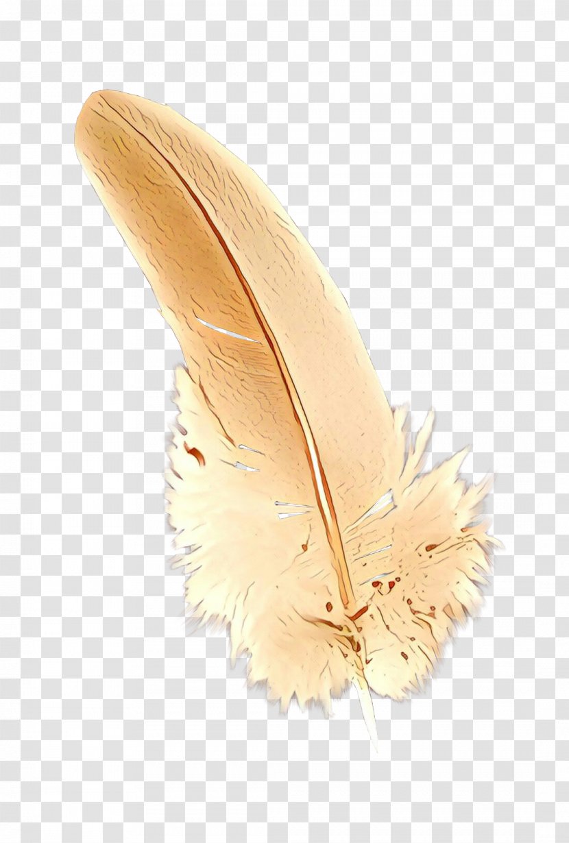 Feather - Ear - Natural Material Fashion Accessory Transparent PNG