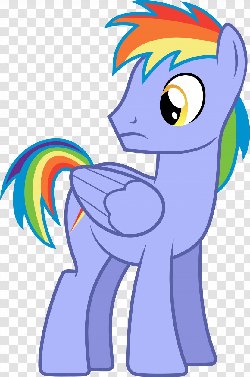 Rainbow Dash Twilight Sparkle Rarity Father My Little Pony - Horse Like Mammal - Pegasus Hair Transparent PNG