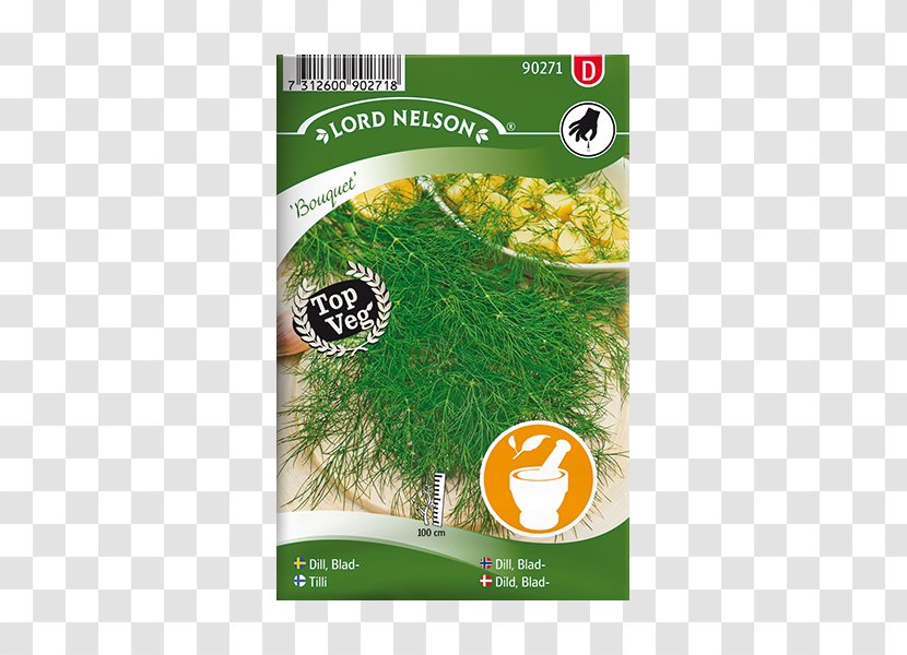 Dill Seed Chervil Leaf Tarragon - Chives Transparent PNG