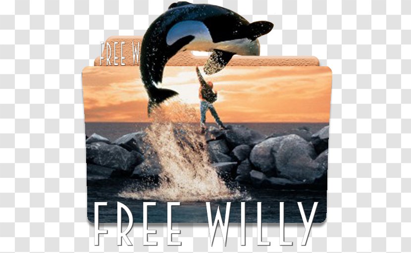 Oregon Film Museum Free Willy Killer Whale DVD - Simon Wincer Transparent PNG