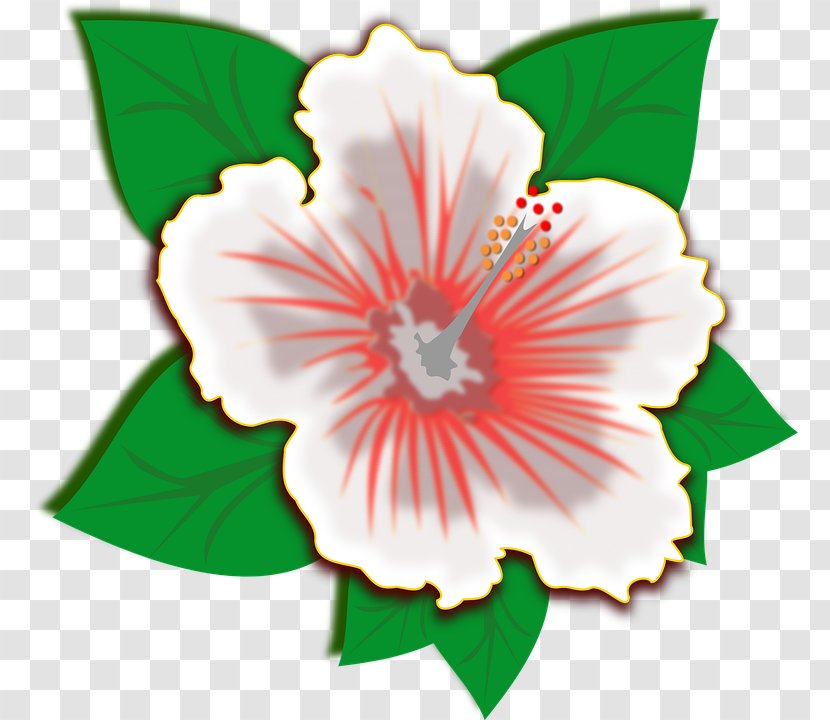 Hibiscus Clip Art - Petal - Flower Transparent PNG