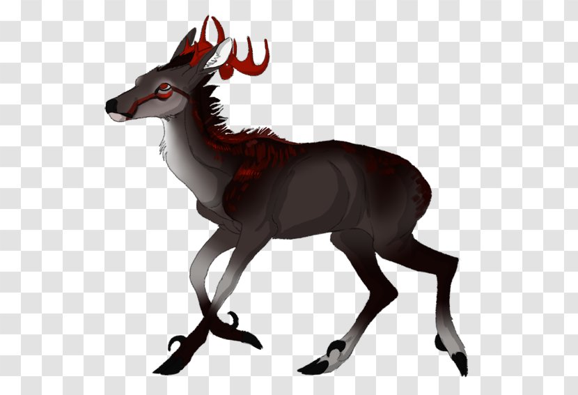 Reindeer Antelope Fauna - Mammal Transparent PNG