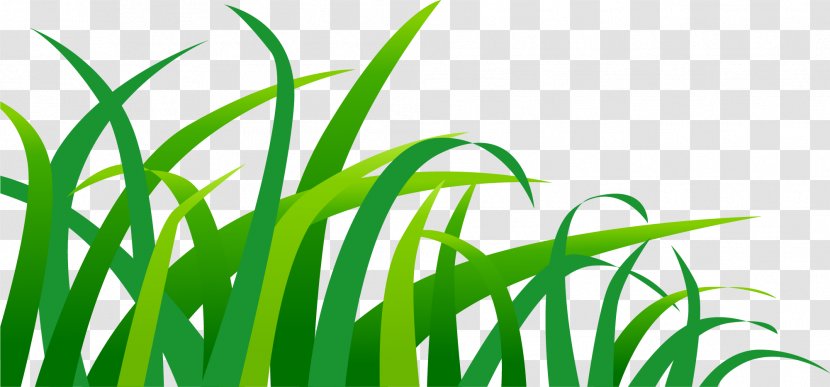 Green Euclidean Vector - Leaf - Hand Painted Grass Transparent PNG