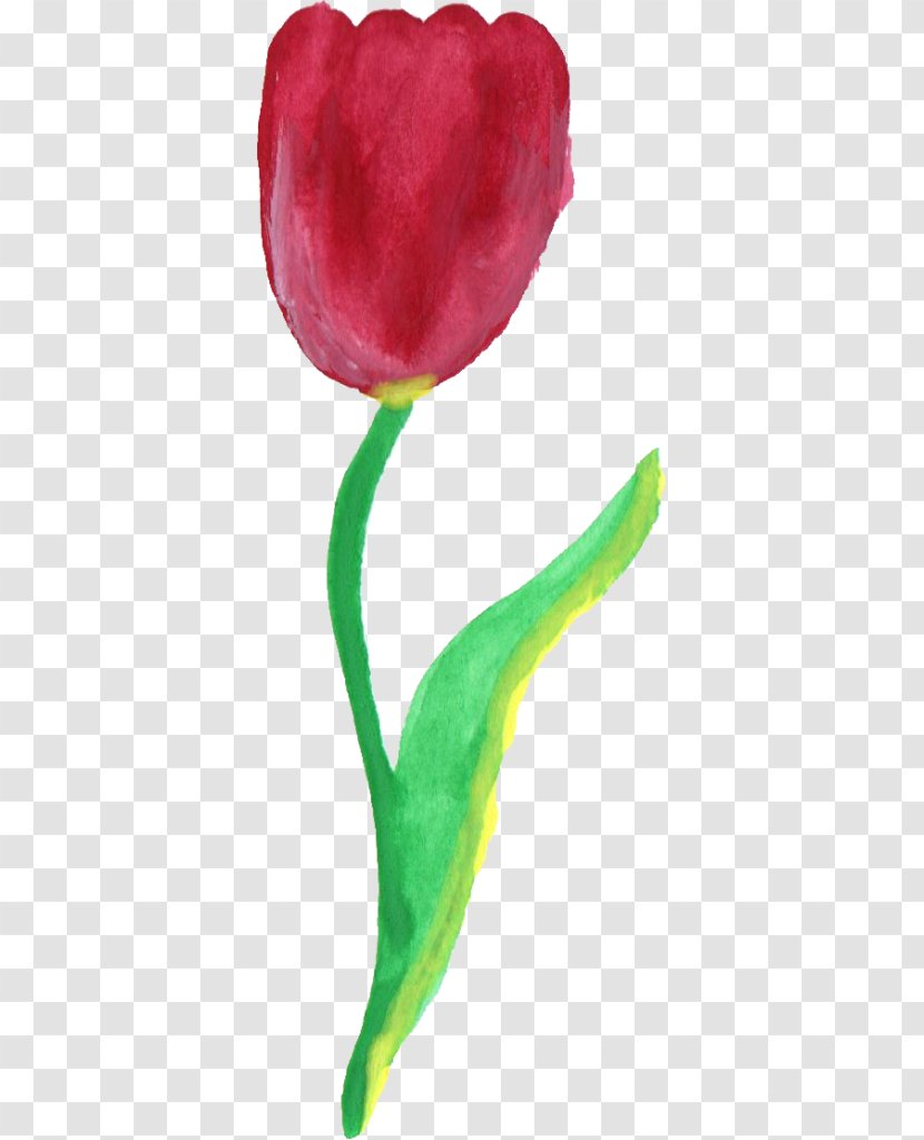 Tulip Petal Clip Art - Pink - Watercolour Transparent PNG