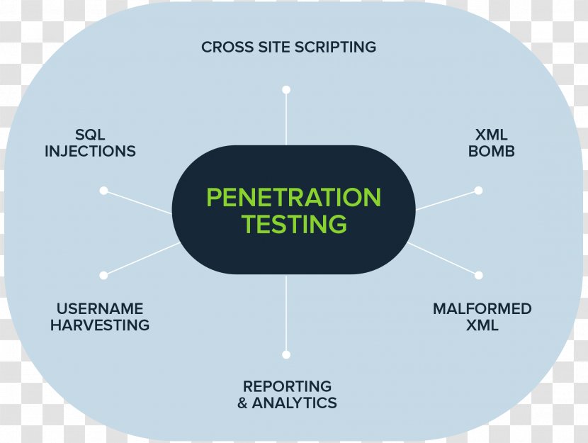 SOAtest Security Testing Software Parasoft Nessus - Api - Penetration Test Transparent PNG