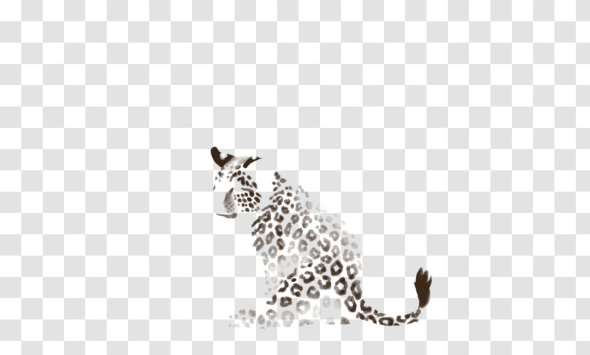 Cheetah Leopard Jaguar Whiskers Puma - Wildlife Transparent PNG