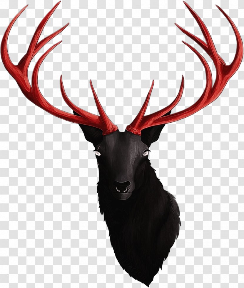 Reindeer - Paint - Moose Wildlife Transparent PNG