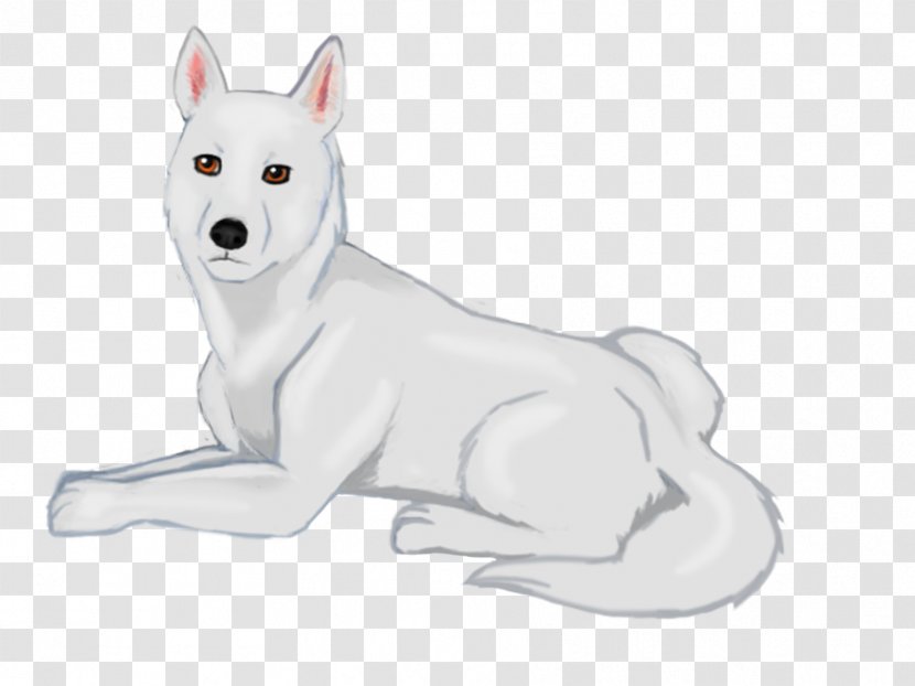 Canaan Dog Kishu White Shepherd Breed Puppy - Like Mammal - Dire Wolf Size Transparent PNG