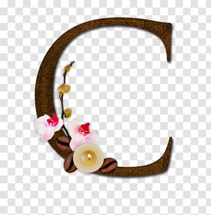 Clothing Accessories Jewellery Hair Fashion - Accessory - LETRAS Transparent PNG