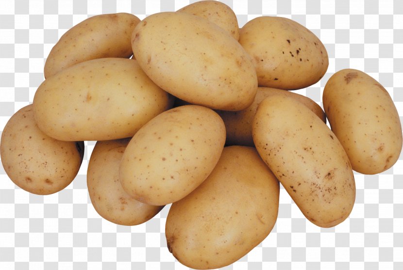 Potato Onion Vegetable - Food - Images Pictures Download Transparent PNG