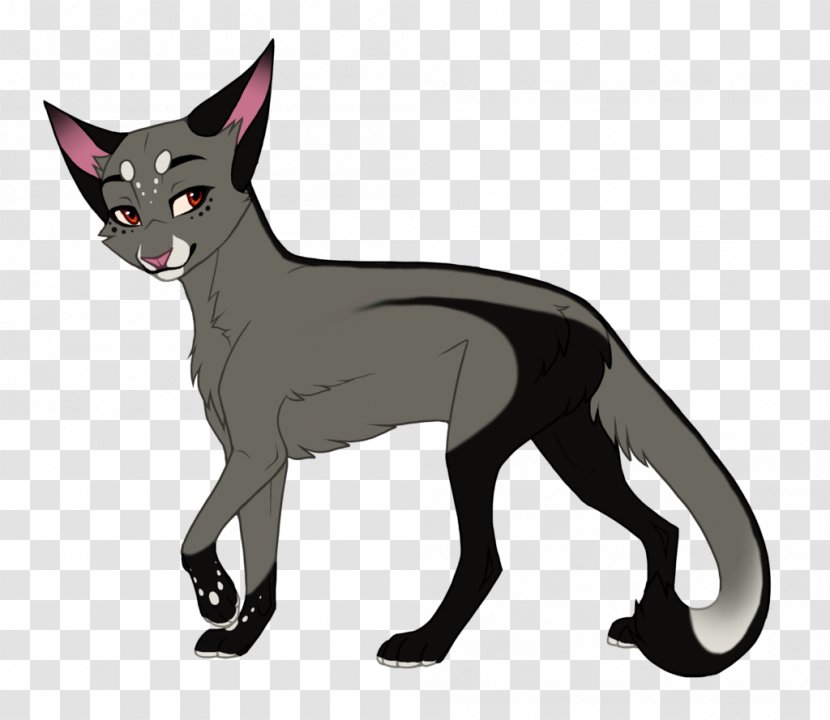 Whiskers Red Fox Cat Dog Canidae - White Transparent PNG