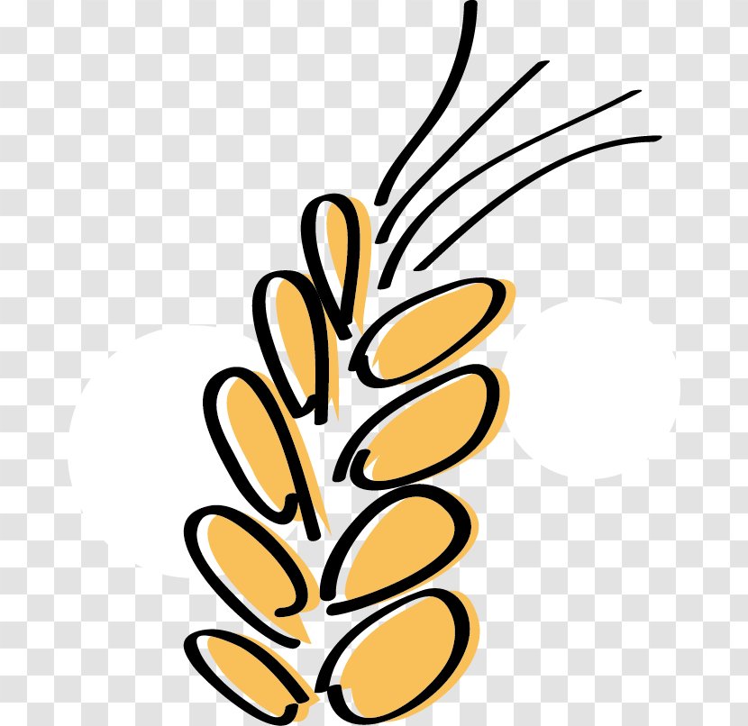 Common Wheat Food Cartoon Clip Art - Flat Pattern Transparent PNG