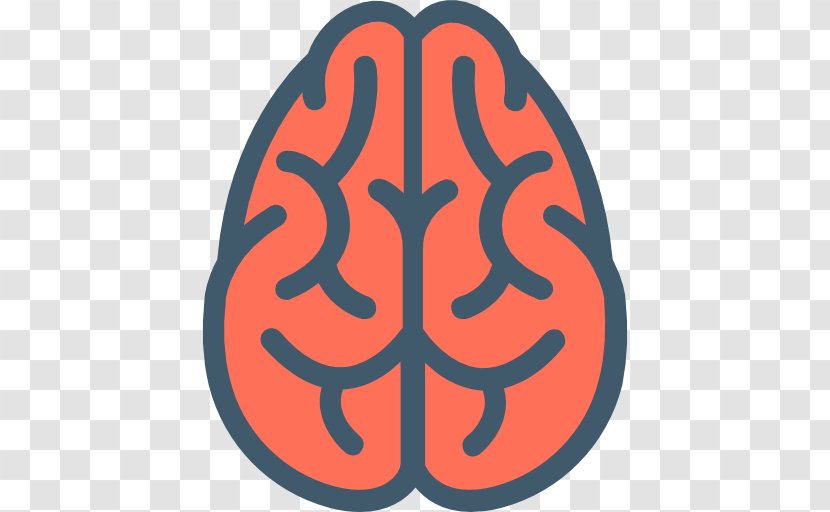 Human Brain Cognitive Training Memory Damage - Cartoon - Anatomical Directions Transparent PNG
