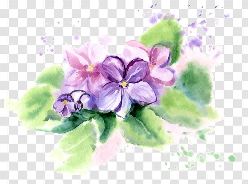 African Violets Flower Watercolor Painting - Violet Transparent PNG