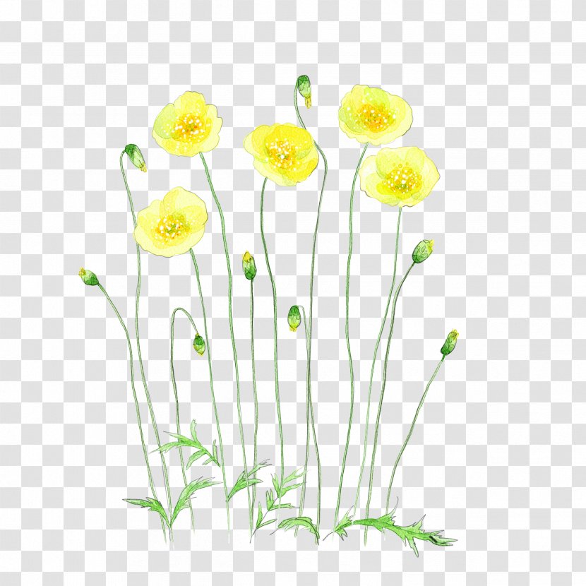 Flower Watercolor Painting Illustration - Cut Flowers - Yellow Transparent PNG