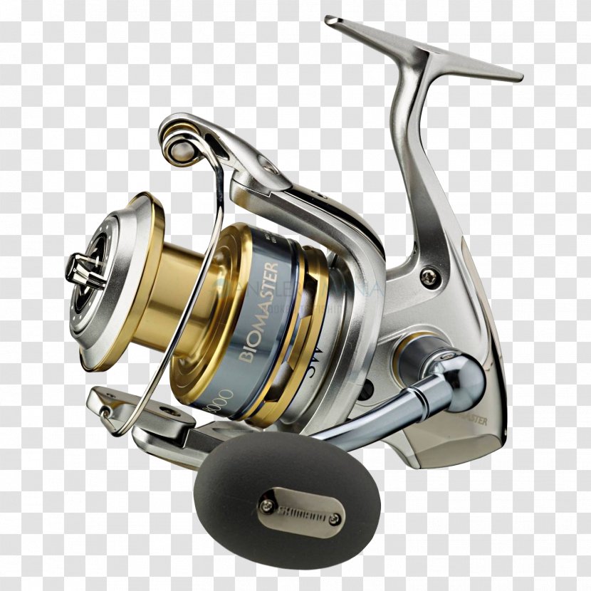 Fishing Reels Shimano Tackle Spin - Sporting Goods Transparent PNG