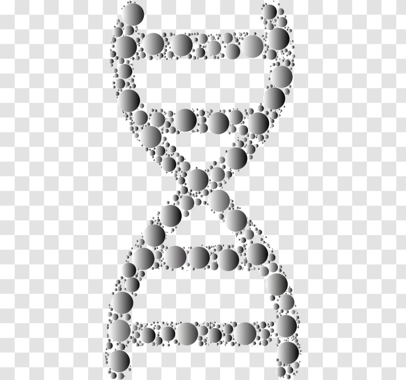 Nucleic Acid Double Helix DNA Molecular Biology - Heart - Trigonal Prismatic Geometry Transparent PNG