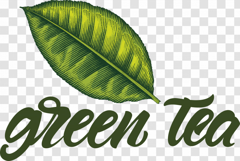 Leaf Logo Font Herbal Medicine Science Transparent PNG