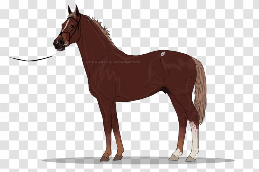 Gypsy Horse Clydesdale Arabian Clip Art - Pack Animal - Tattersall Transparent PNG