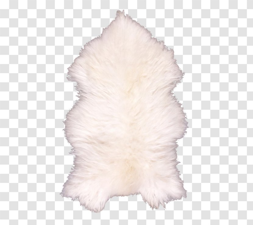 Fur - Mouton Transparent PNG