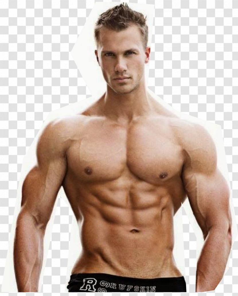 Bodybuilding Supplement Body Builders Bodybuilding.com Muscle - Tree Transparent PNG