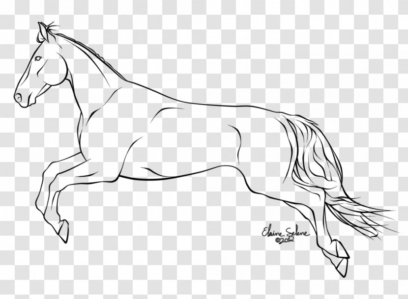 Mule Line Art Stallion Mustang Foal - Animal Figure Transparent PNG