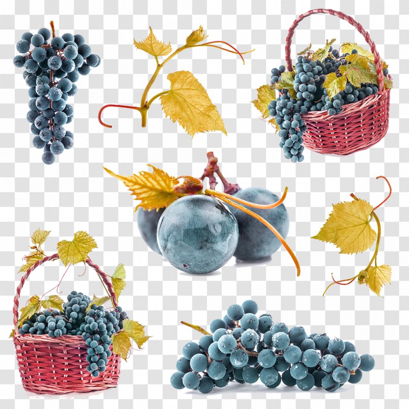 Common Grape Vine Fruit Leaves - Purple Decoration Pattern Transparent PNG