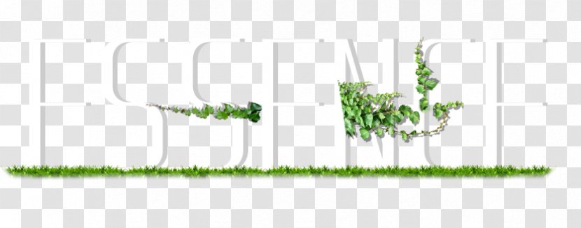 Grasses Plant Stem Leaf Tree Font - 3d Alphabet Transparent PNG