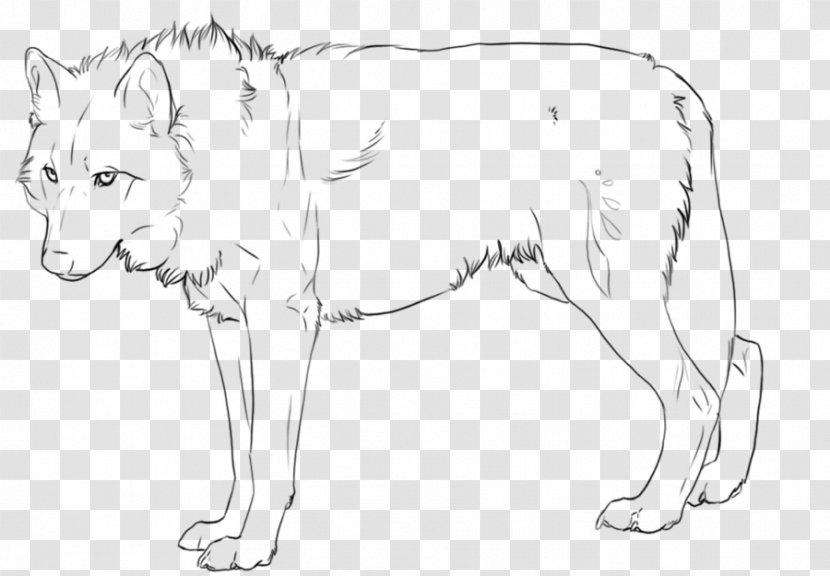 Line Art Lion Drawing Fan - Flower Transparent PNG