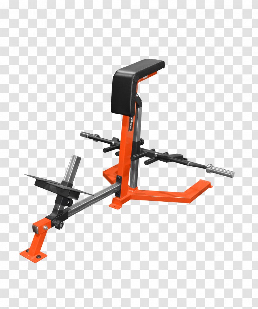 Bench Bent-over Row Fitness Centre Exercise Equipment - Squat - Barbell Transparent PNG