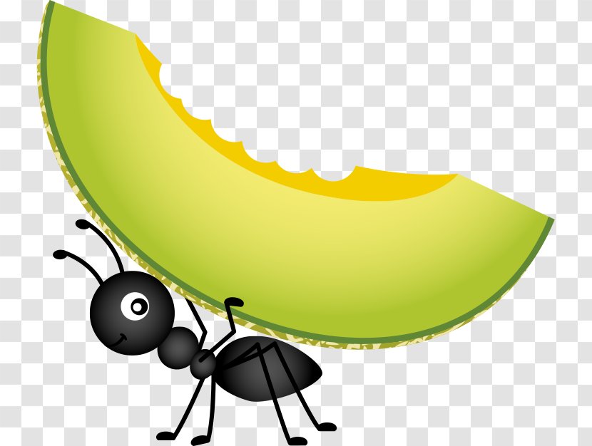 Food Picnic Stock Photography Clip Art - Yellow - Vector Ants And Cantaloupe Transparent PNG