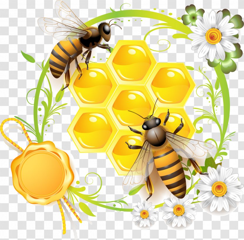 Bee Can Stock Photo Photography Clip Art - Pollinator Transparent PNG