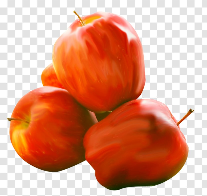 Habanero Apple Bell Pepper Vegetarian Cuisine Accessory Fruit - Potato And Tomato Genus Transparent PNG