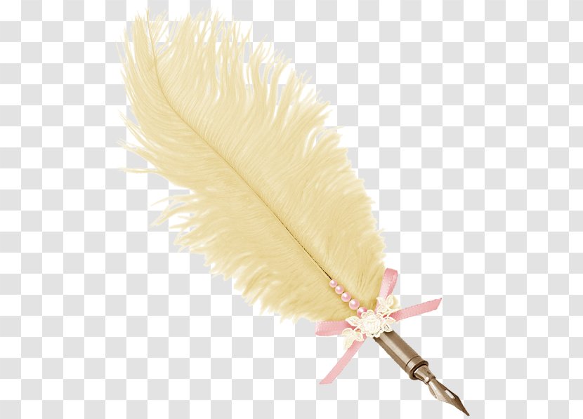 Quill Feather Reed Pen Writing Implement - Parchment - Peacock Transparent PNG