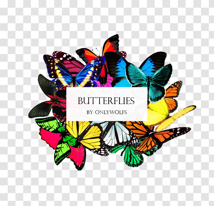 Summer Of The Mariposas Photography Clip Art - Stock Transparent PNG