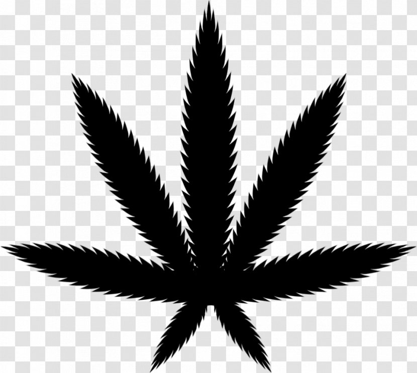 Cannabis Ruderalis Medical Autoflowering Sativa - Tree Transparent PNG