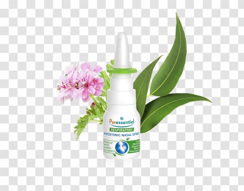 Nasal Spray Eucalyptus Radiata Congestion Nose Seawater - Oil Transparent PNG