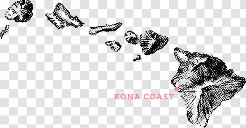 Drawing Poke Cuisine Of Hawaii - Diagram - Design Transparent PNG