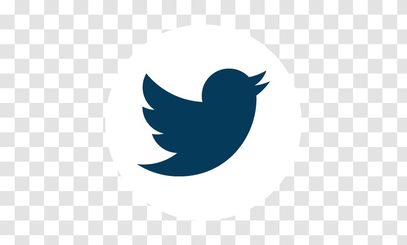 Social Media User - Bird - Primary Education Transparent PNG