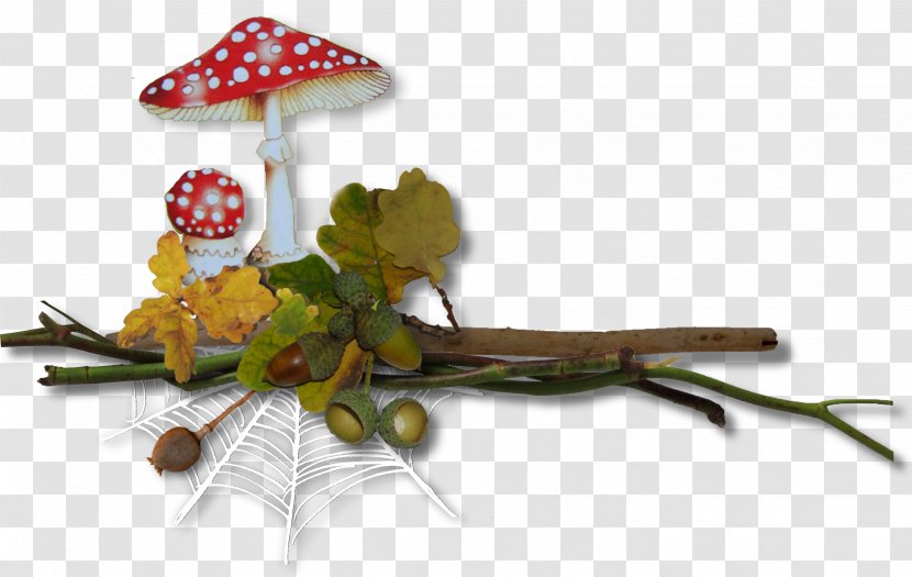 Autumn Text 0 1 Clip Art - Season - Mushrooms Transparent PNG