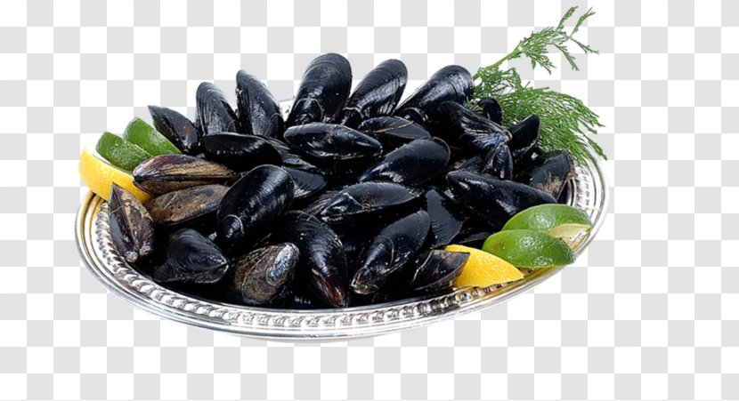 Mussel Oyster Crayfish As Food Clam - Animal Source Foods - Sugar Transparent PNG