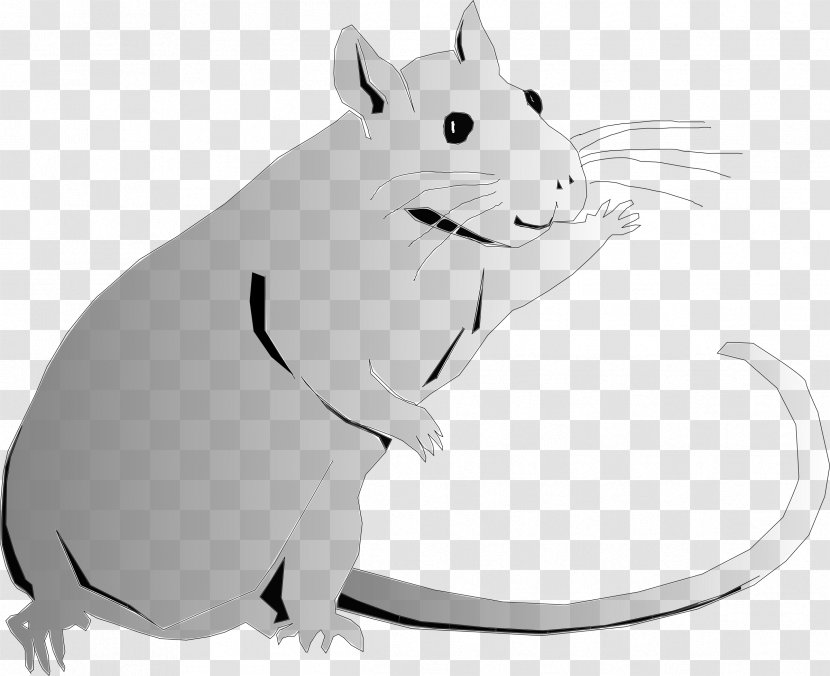 Rat Clip Art Vector Graphics - Pest Transparent PNG