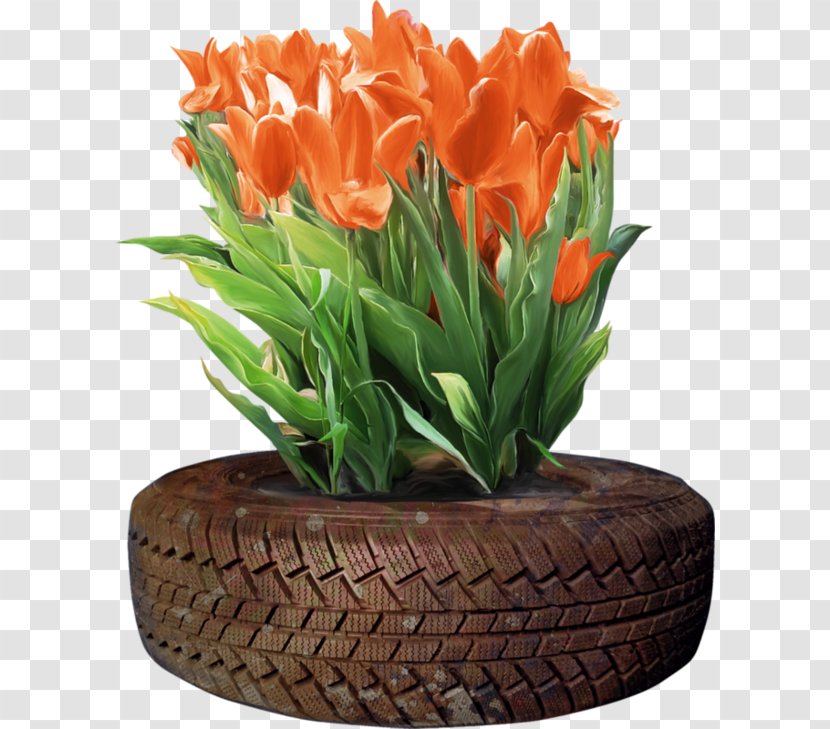 Tulip Tire Flower - Ping Transparent PNG