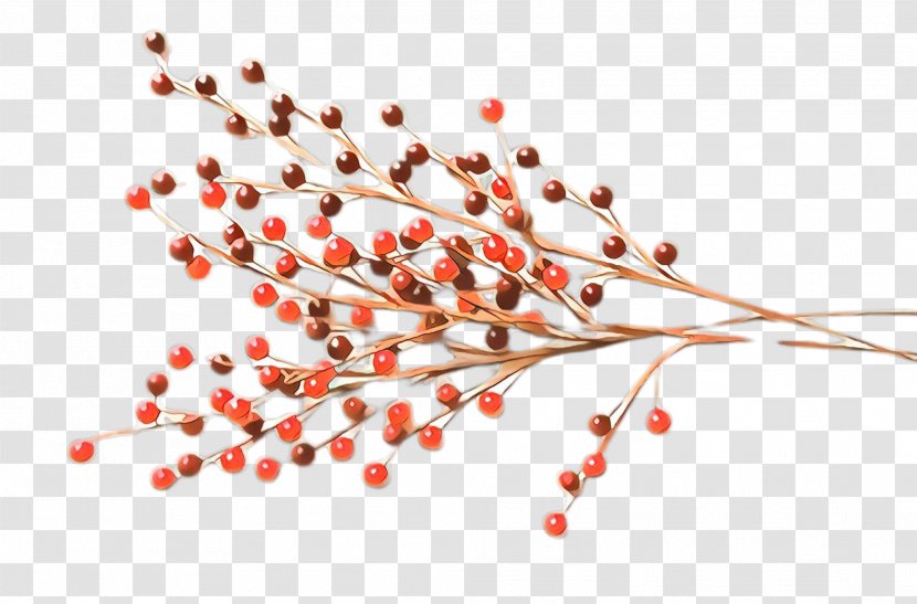 Red Pink Peppercorn Plant Tree Branch - Flower Transparent PNG